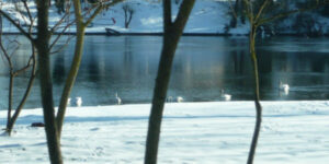 La commune sous la neige… photos