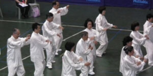 Découvrir le Taiji Chuan