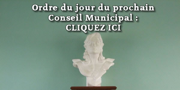 Ordre Du Jour Du Prochain Conseil Municipal