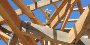 Construction de la Halle