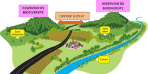 Avis d’enquête publique : Schéma Régional de Cohérence Écologique (SRCE)