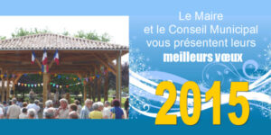 Voeux 2015 et invitation !