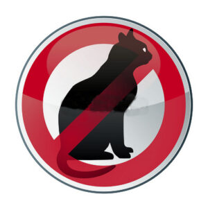 Arrêté municipal n° 14-2015 Autorisant la capture des chats errants