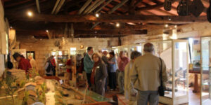 JOURNÉES EUROPÉENNES DU PATRIMOINE au Musée…