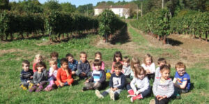 Des petits vendangeurs !