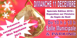 1er Marché de Noël le 11 décembre !