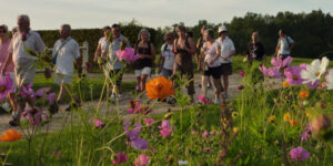 Une Rando Santé le 22 septembre !