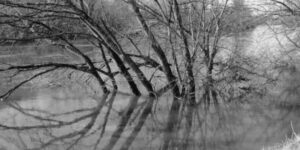 Retour sur la crue d'hiver en photos !