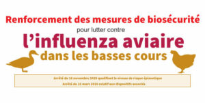 Mesures Basse-Cour