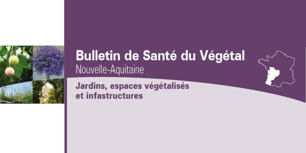 Bulletin de Santé du Végétal Nouvelle-Aquitaine 600x300
