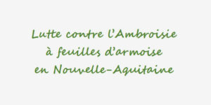 Lutte contre l’Ambroisie à feuilles d’armoise en Nouvelle-Aquitaine