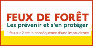 Feux de forêt 2021 600x300