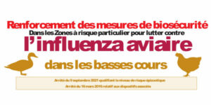 Influenza aviaire, renforcement des mesures de biosécurité