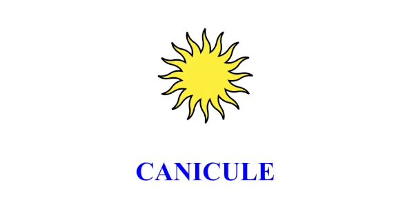 Canicule 202206