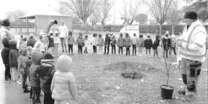 Plantation arbre école maternelle