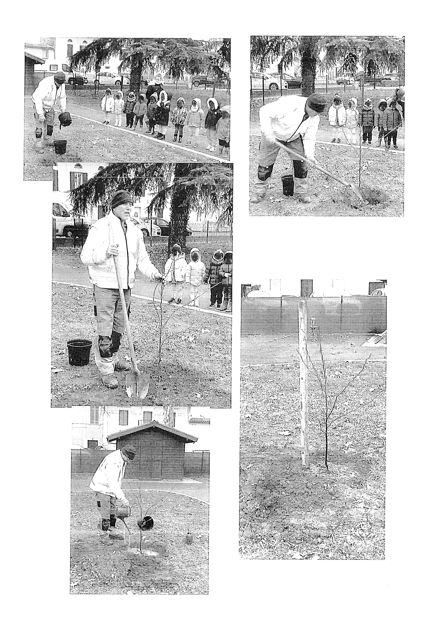 Plantation d'un arbre - École Maternelle