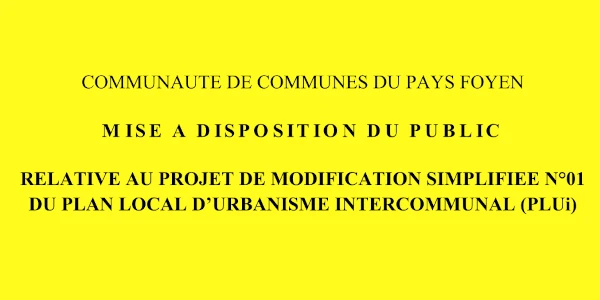PLUi - Mise A Disposition Du Public - Modification Simplifiée N°01