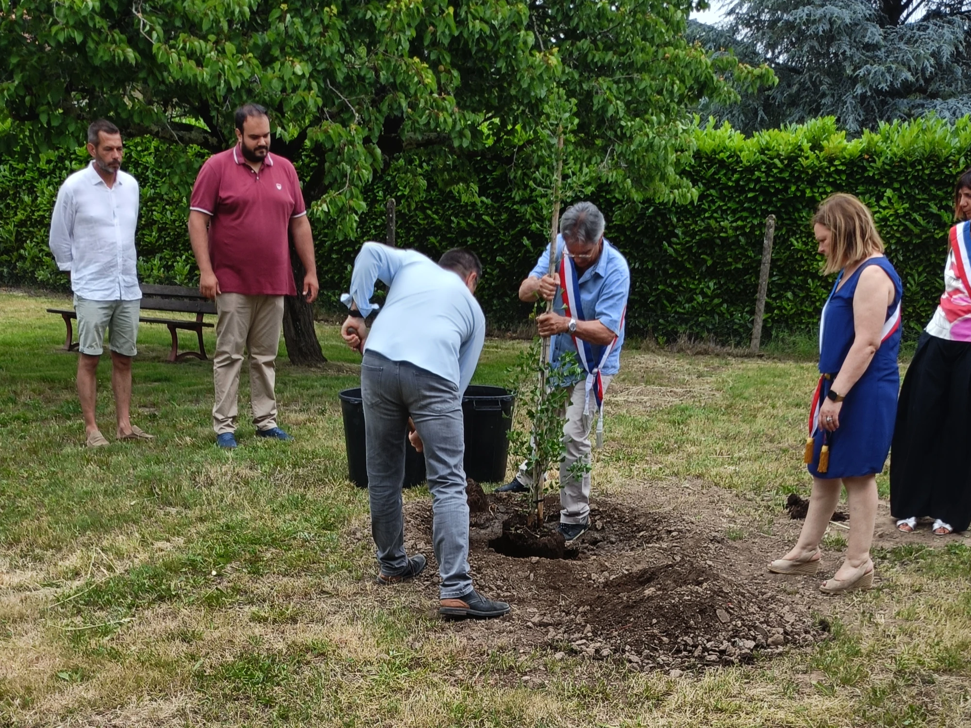 Plantation du Mai