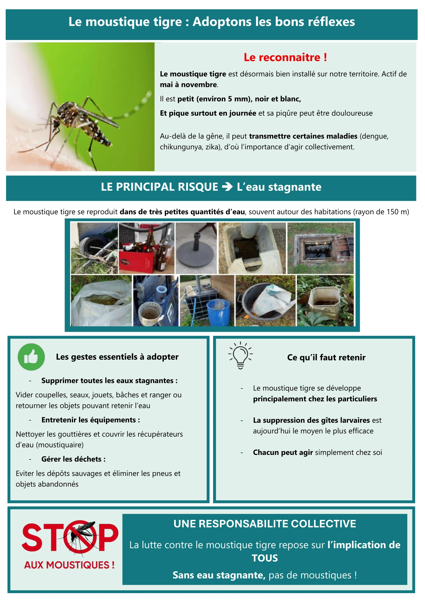 Affiche moustique tigre