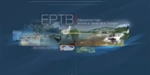 Epidor